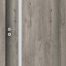 FOCUS - 4.A - Silvery oak